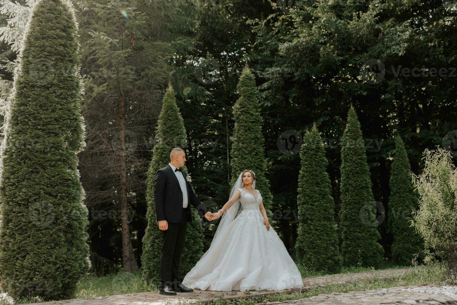 Wedding portrait.The bride and groom are holding hands. The bride in an elegant dress, the groom in a classic suit against the background of green trees. Gentle touch. Summer wedding. A walk in nature photo