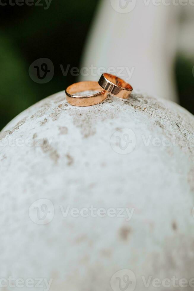 Gold classic wedding rings on white round ball and blurred forest or park background photo