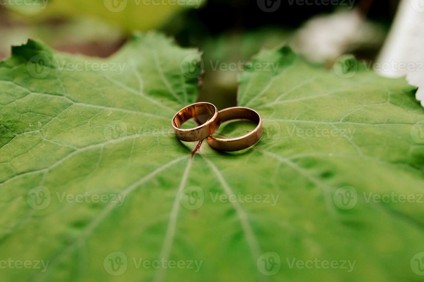 Gold classic wedding rings on green burdock leaf and blurred background in forest or park photo