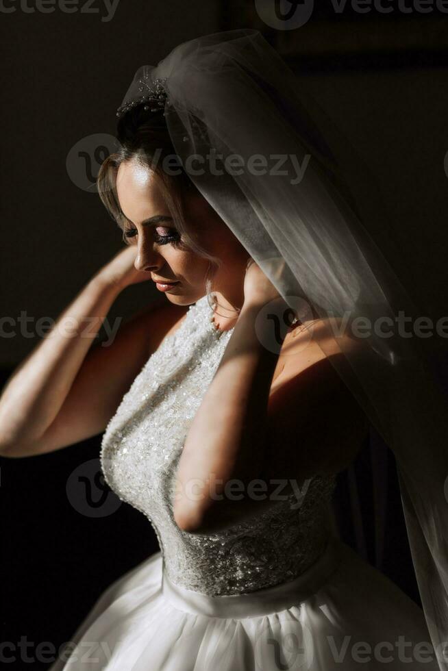 Happy and beautiful bride with veil close-up. bride with professional makeup and hairstyle on a dark background. photo