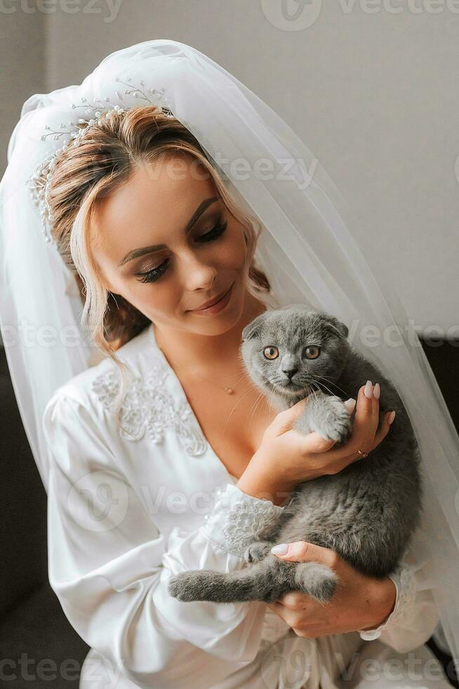 a young, elegant girl in the image of a bride with a beautiful veil on her head, holding her domestic cat in her arms Scottish Fold photo