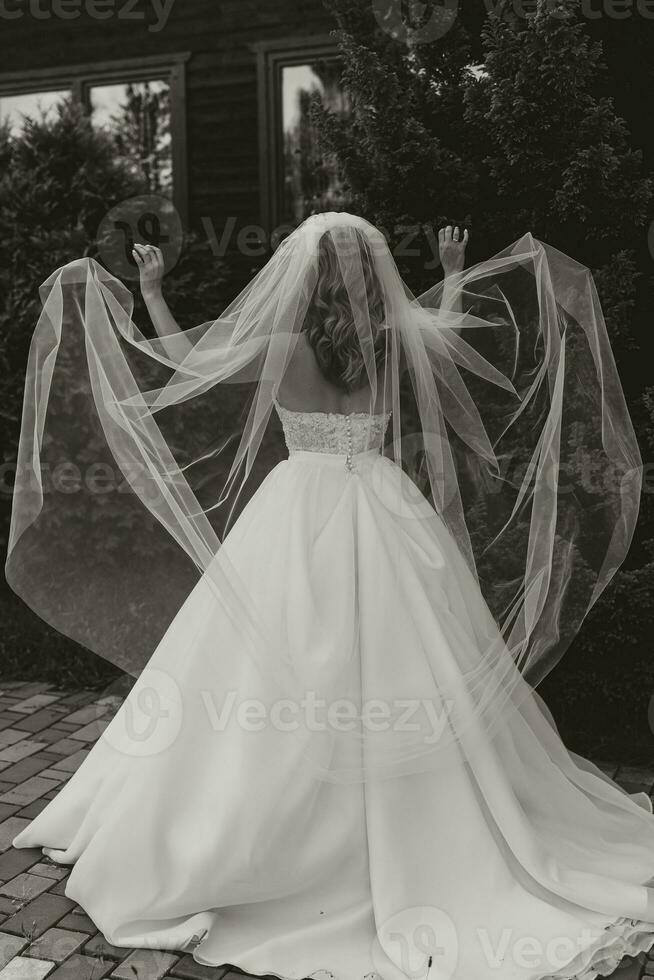 Happy stylish bride holding her veil and enjoying the best day of her life. Beautiful wedding dress, professional makeup and hair photo