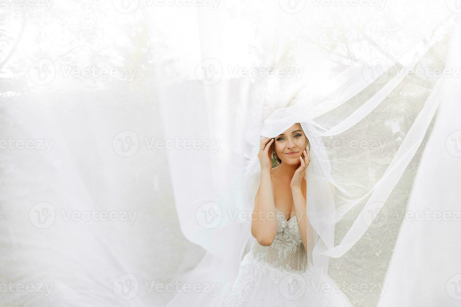 Close-up shot of an elegant brunette bride in a white dress posing under a veil close-up. Bride portrait, wedding makeup and hairstyle, bridal fashion. Beautiful bride in a veil photo