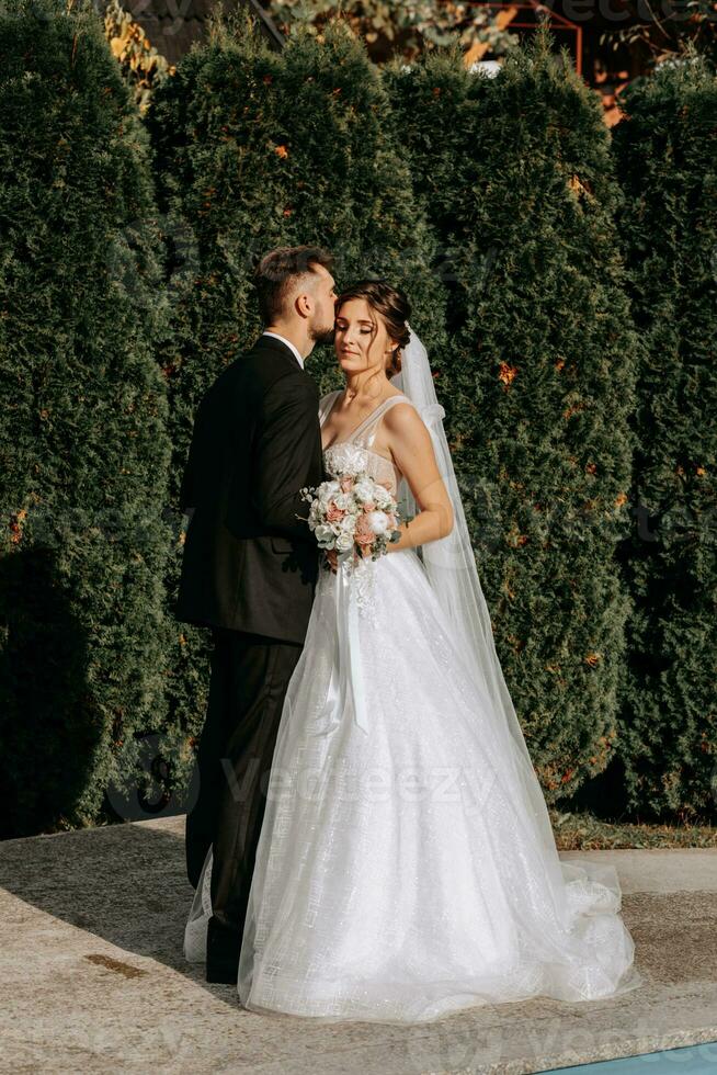 beautiful elegant luxury bride and stylish groom kissing outdoors near tall green trees photo