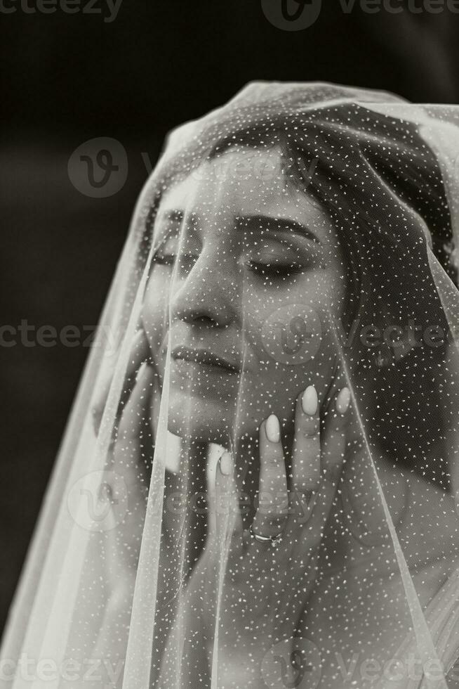 Close-up shot of an elegant brunette bride in a white dress posing under a veil close-up. Bride portrait, wedding makeup and hairstyle, bridal fashion. Beautiful bride in a veil photo