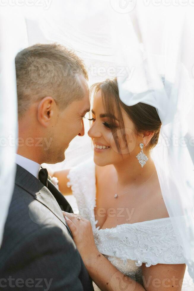 wedding couple on nature. bride and groom hugging under the veil at wedding. photo