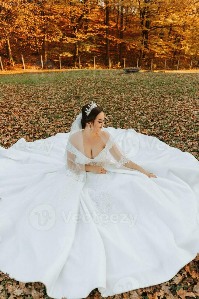 A beautiful bride is sitting on the grass near the autumn leaves of the trees. Wedding portrait of a young bride in an autumn theme. Wedding photography. photo