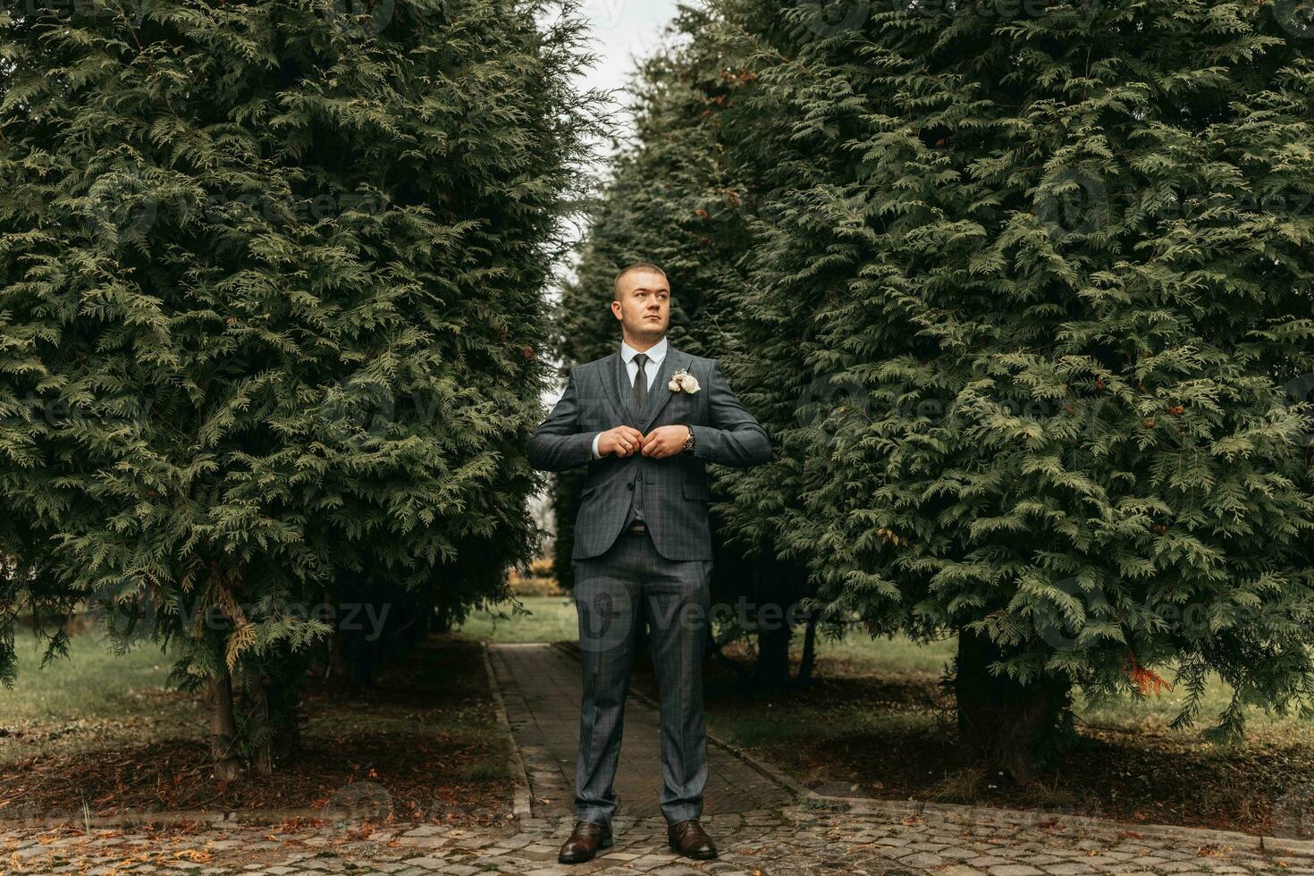 hermoso novio en traje y Corbata en pie al aire libre en parque. Boda retrato. un hombre en un clásico traje foto