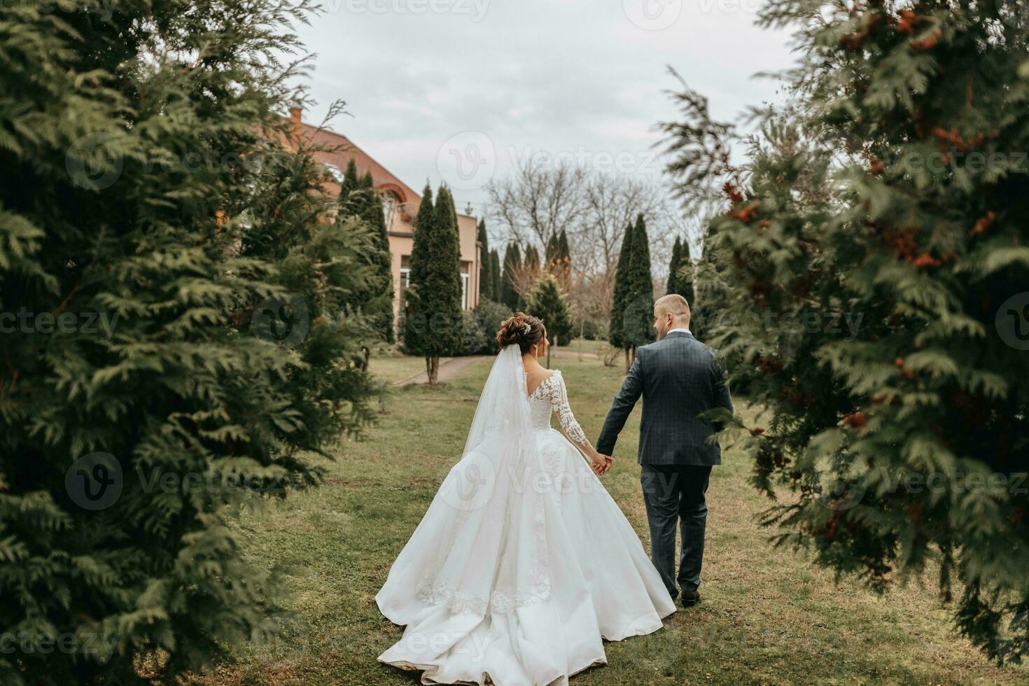 Groom and bride walking and holding hands in the park among tall green trees. Wide-angle autumn photo. Voluminous wedding dress. Classic suit of the groom photo