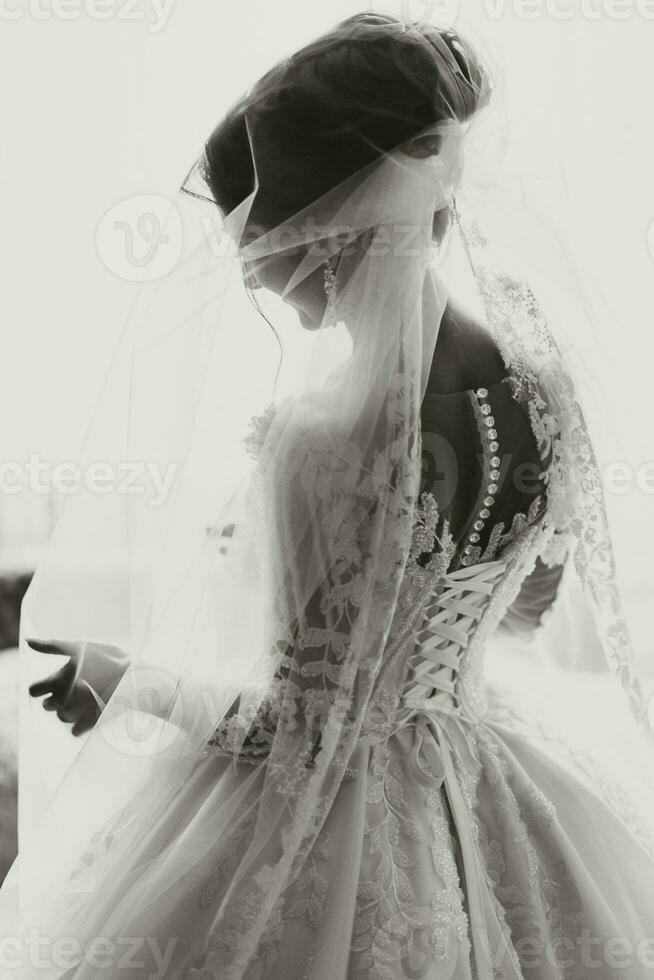 back view of elegant brunette bride in white dress posing under veil close-up. Bride portrait, professional wedding makeup and hairstyle, bridal fashion. Beautiful bride in a veil photo