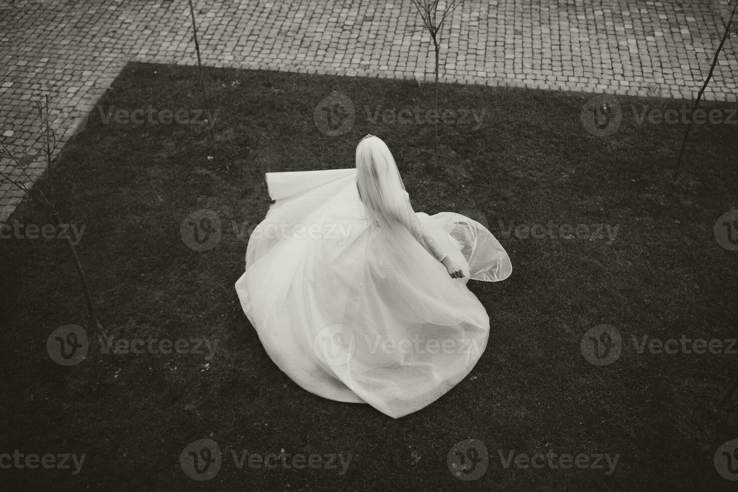 retrato de un hermosa novia con un volador velo en un voluminoso Boda vestir y profesional constituir. el novia giros en su vestir foto