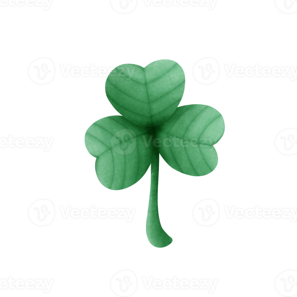 samrock leaf drawing st patrick day, samrock clip art. png