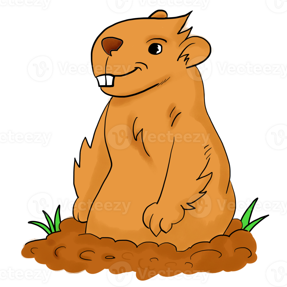 A Cute Groundhog Standing on the soil ground png