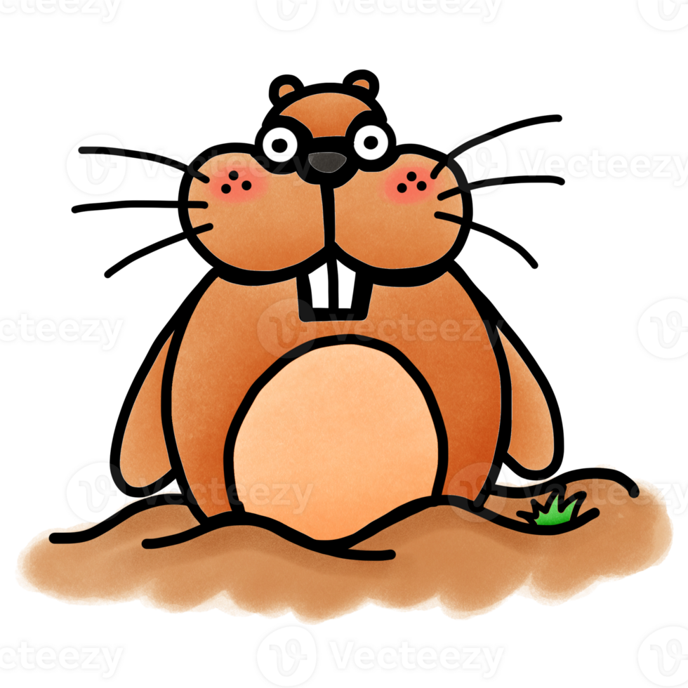A Cute Smiling Groundhog Standing on the ground png