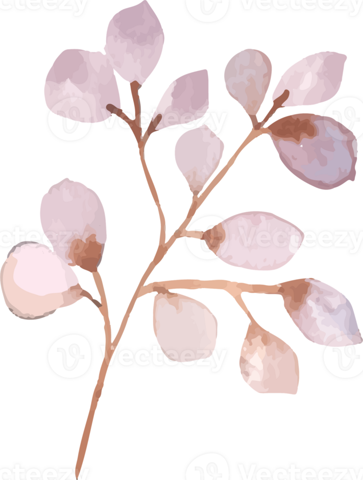 Rustic Watercolor Flower Illustration png