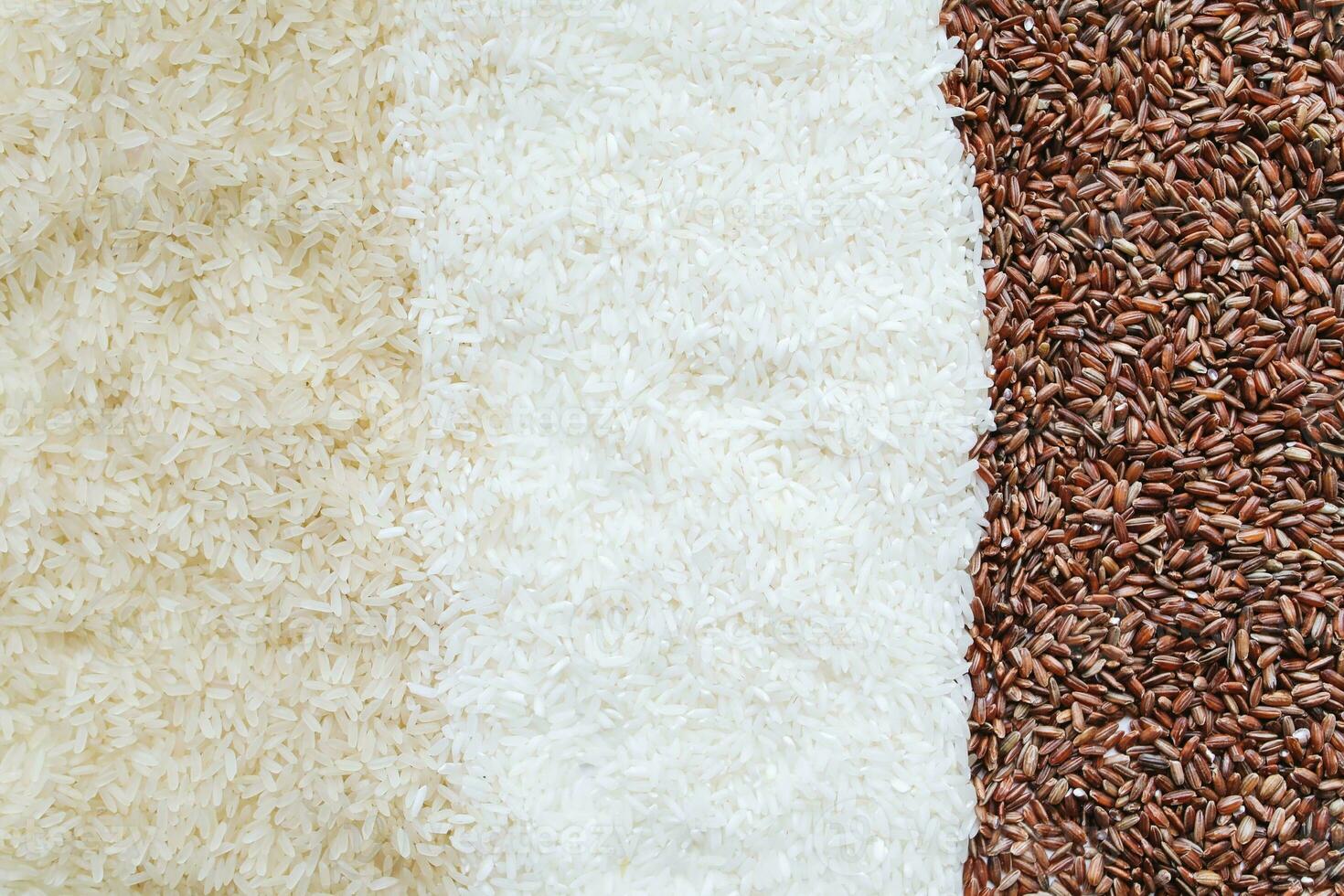 Rice background with white stripe and red rice on white background. photo