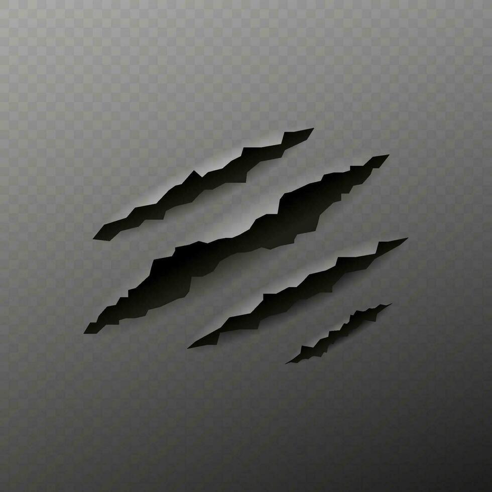 Realistic claw rip slash pattern on transparent background. Vector illustration.