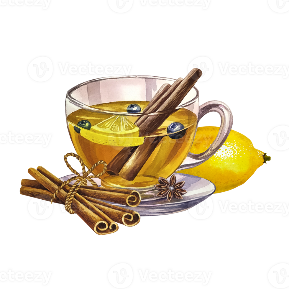 Glass, transparent cup of tea with lemon and cinnamon. Hand drawn watercolor illustration. Hot, aromatic, vitamin and cold drink. For invitations, cards, banners, packaging and menus. png
