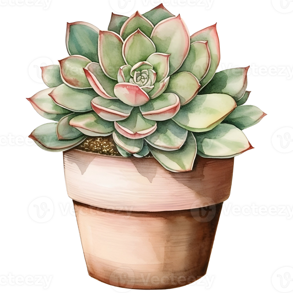 AI generated Secculent Plant in pot png