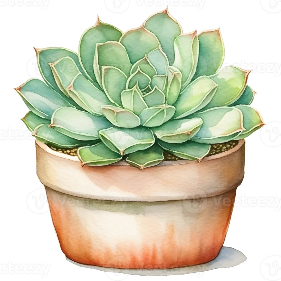 AI generated Secculent Plant in pot png
