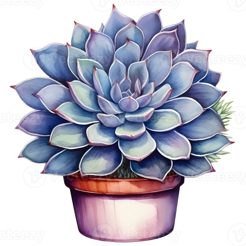 AI generated Secculent Plant in pot png