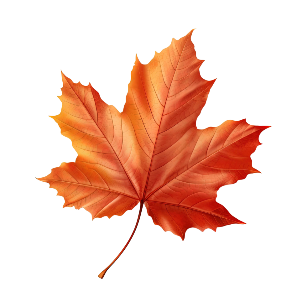 AI generated Autumn Leaf isolated on transparent background png