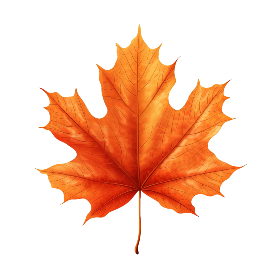 AI generated Autumn Leaf isolated on transparent background png