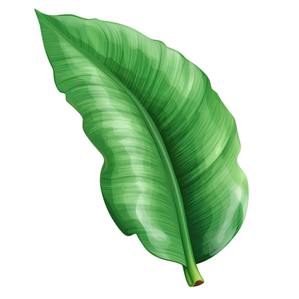 AI generated Green banana leaf isolated on transparent background png