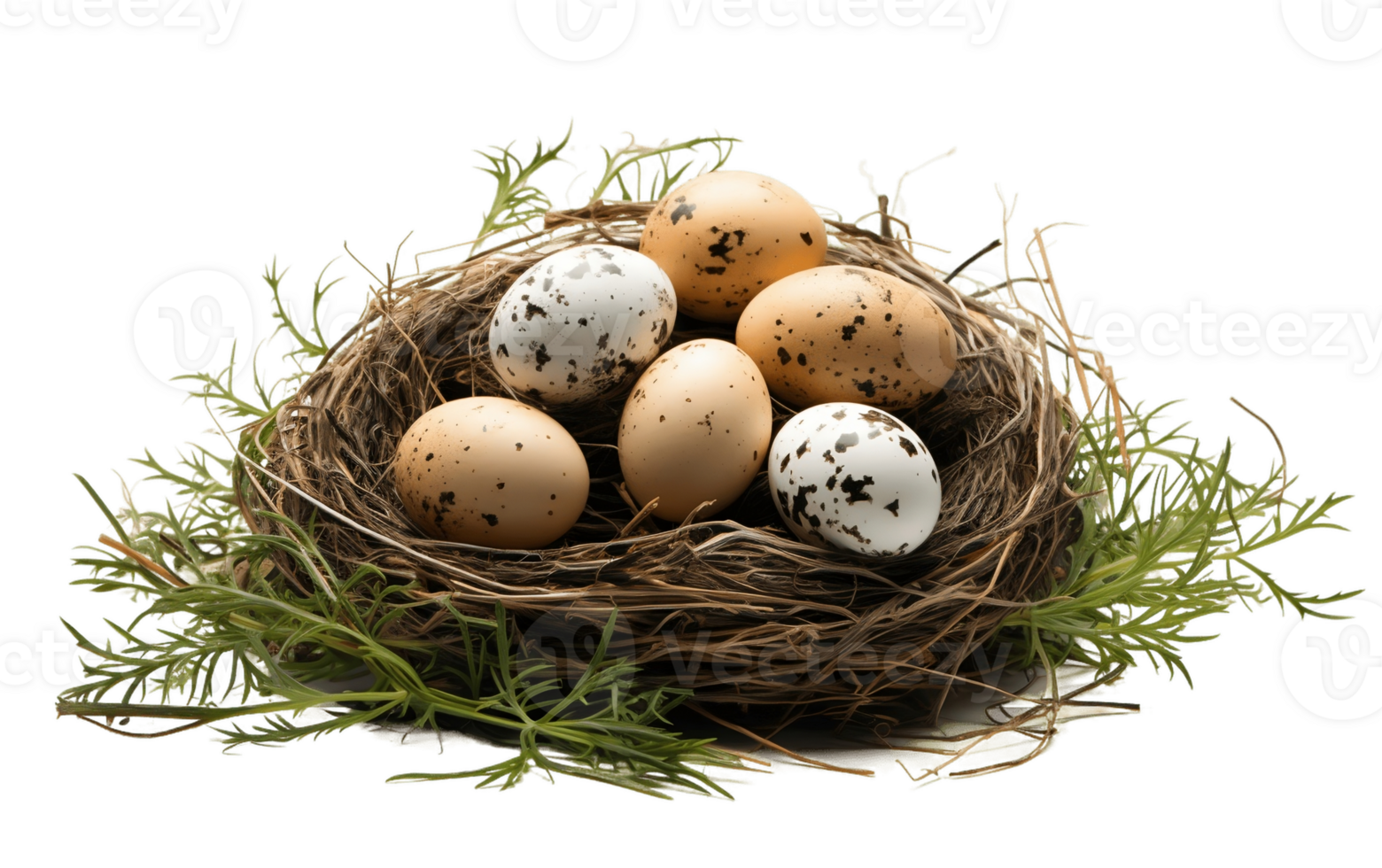 ai generiert Vogel Nest und Eier auf transparent Hintergrund png