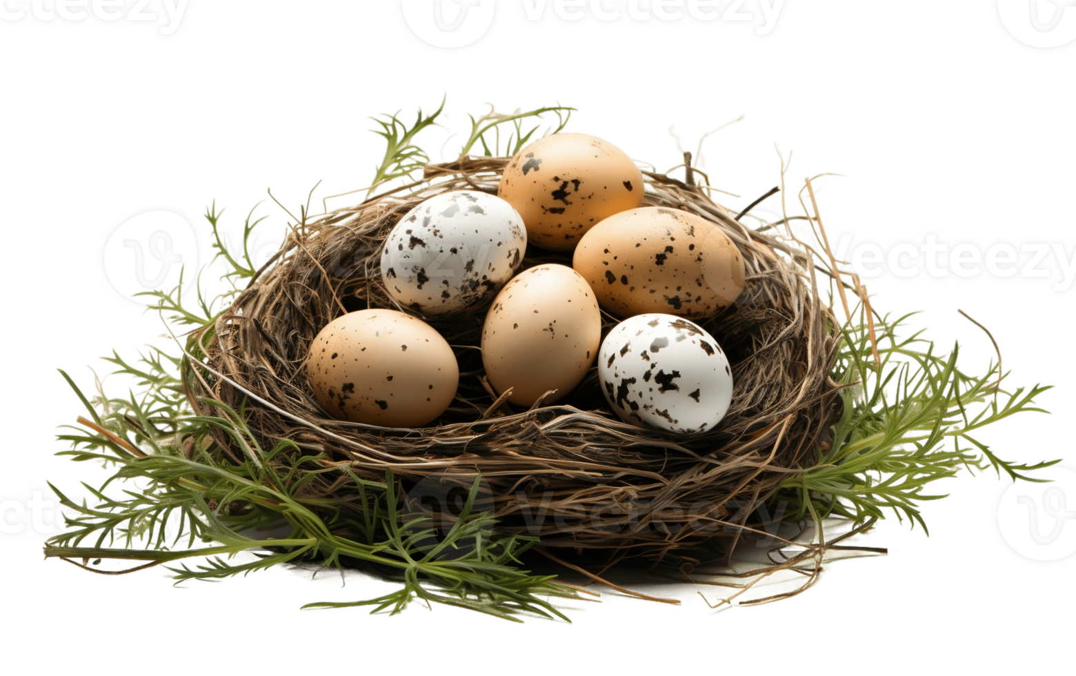 AI generated Bird Nest and Eggs on Transparent Background png