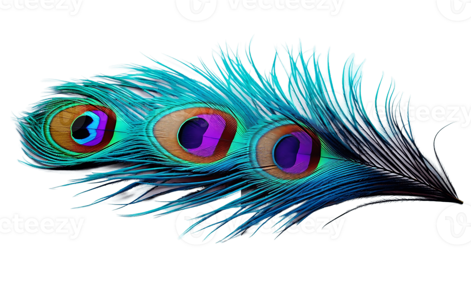AI generated Feathered Beauty Isolated on Transparent Background png