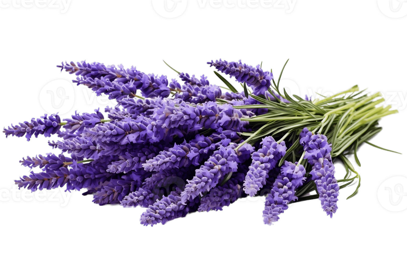 AI generated Clear Purple Herb Isolated on Transparent Background Generative AI png