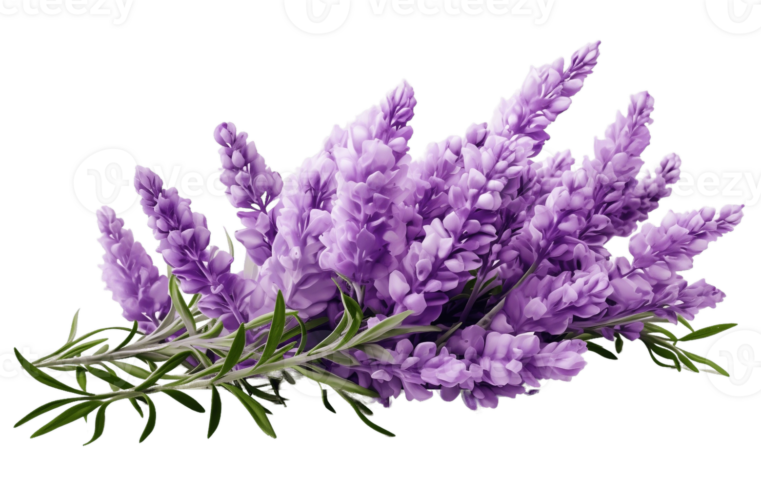 AI generated Clear Purple Herb Isolated on Transparent Background Generative AI png