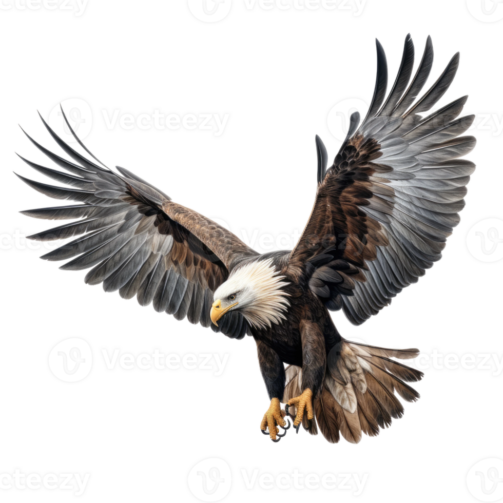 AI generated Majestic Haast's Eagle, on transparent background. png