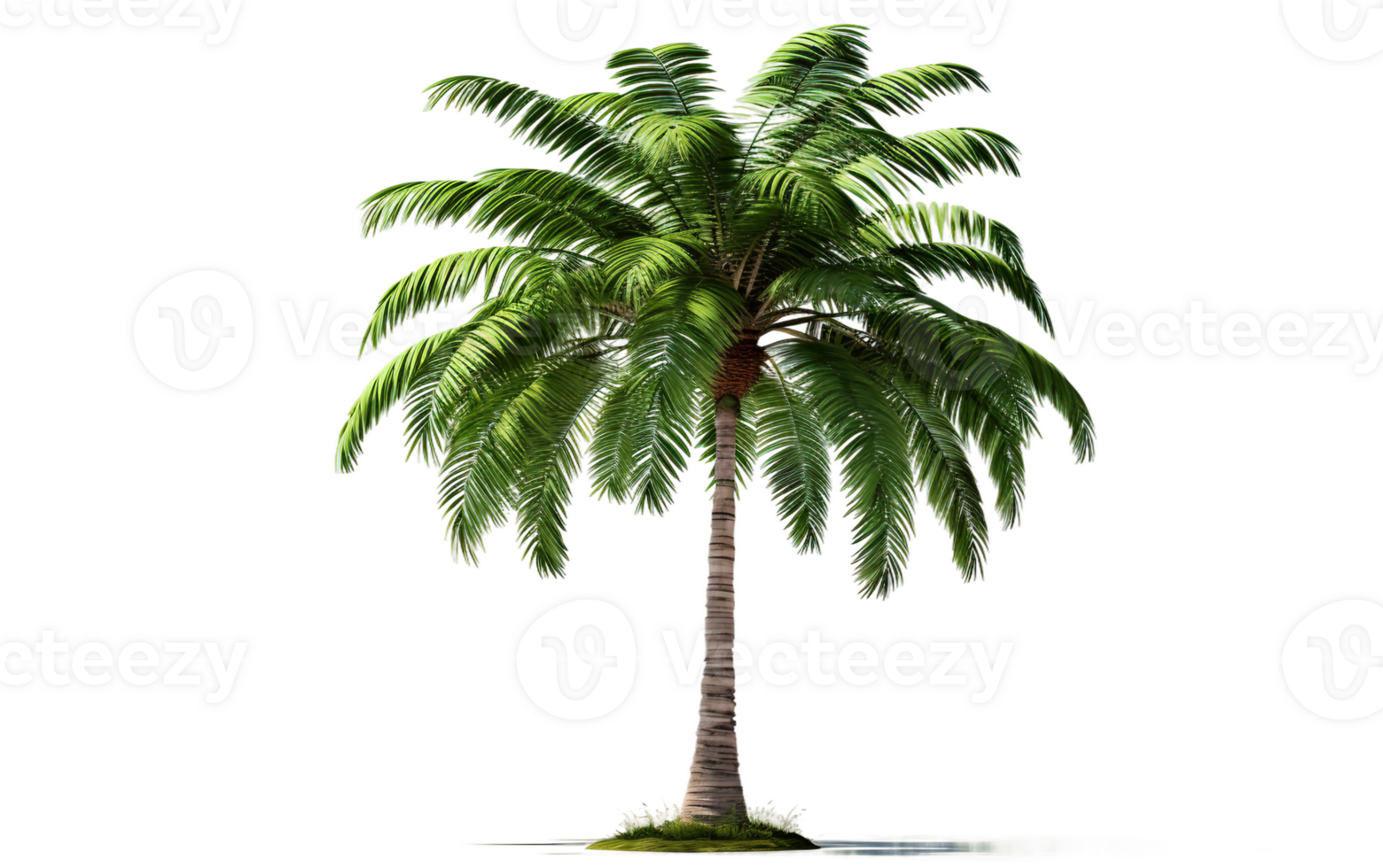 AI generated Palm Tree on Transparent Background, PNG format