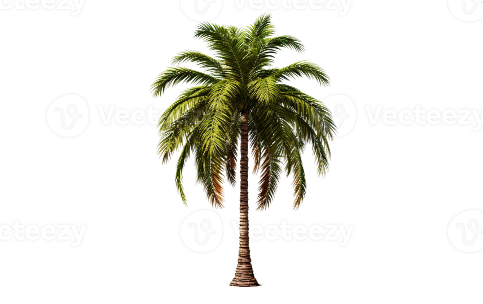 AI generated Palm Tree on Transparent Background, PNG format