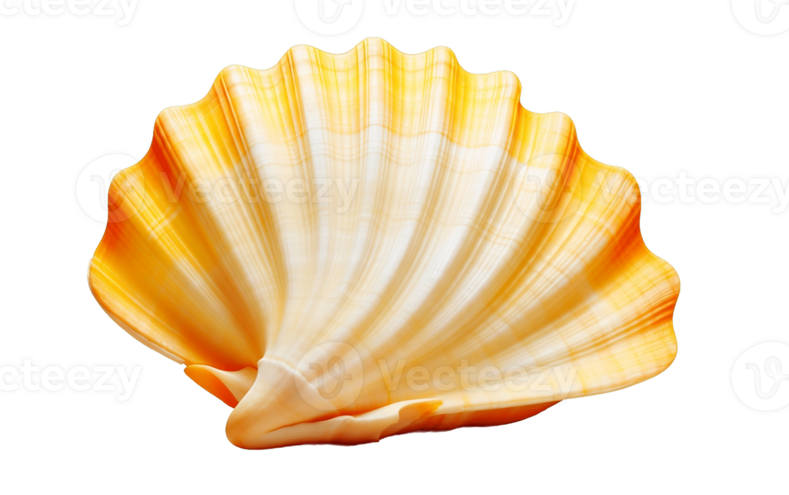 AI generated Seashell Isolated on Transparent Background Generative AI png