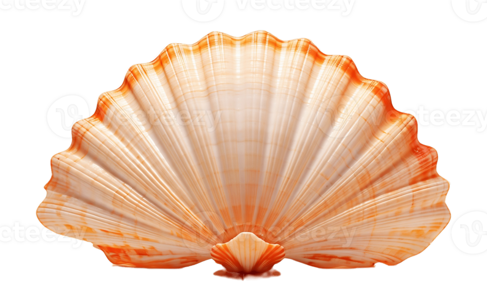 AI generated Transparent Background Sea Shell Isolated png