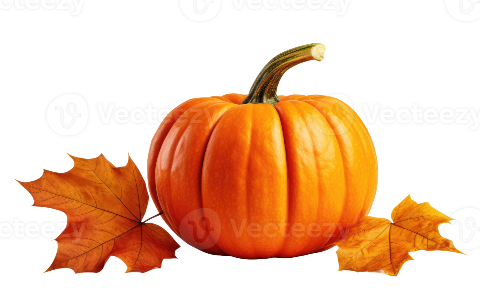 AI generated Pumpkin on Transparent background png