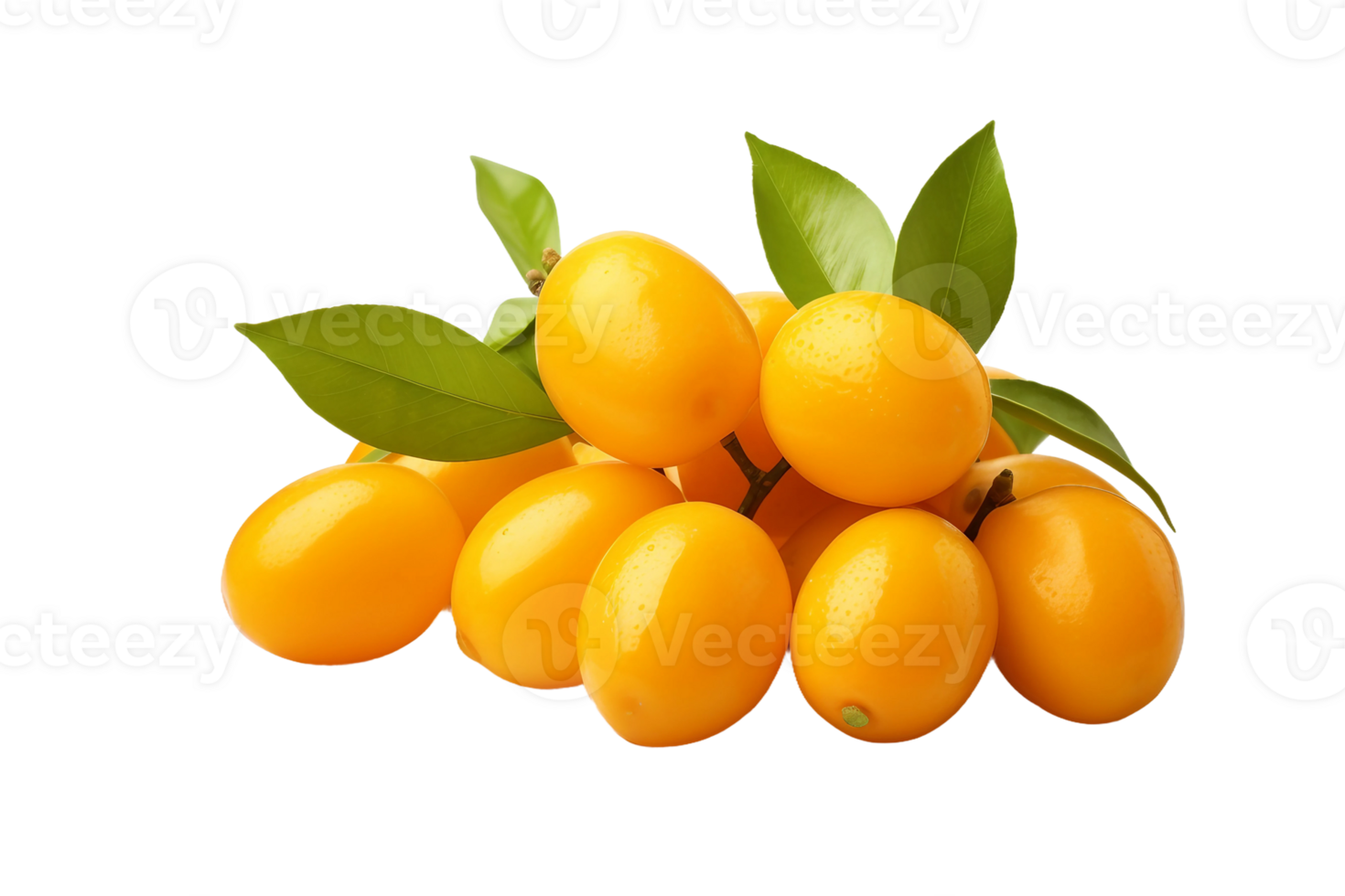 AI generated Kumquat Citrus Fruit Artwork on Transparent background png