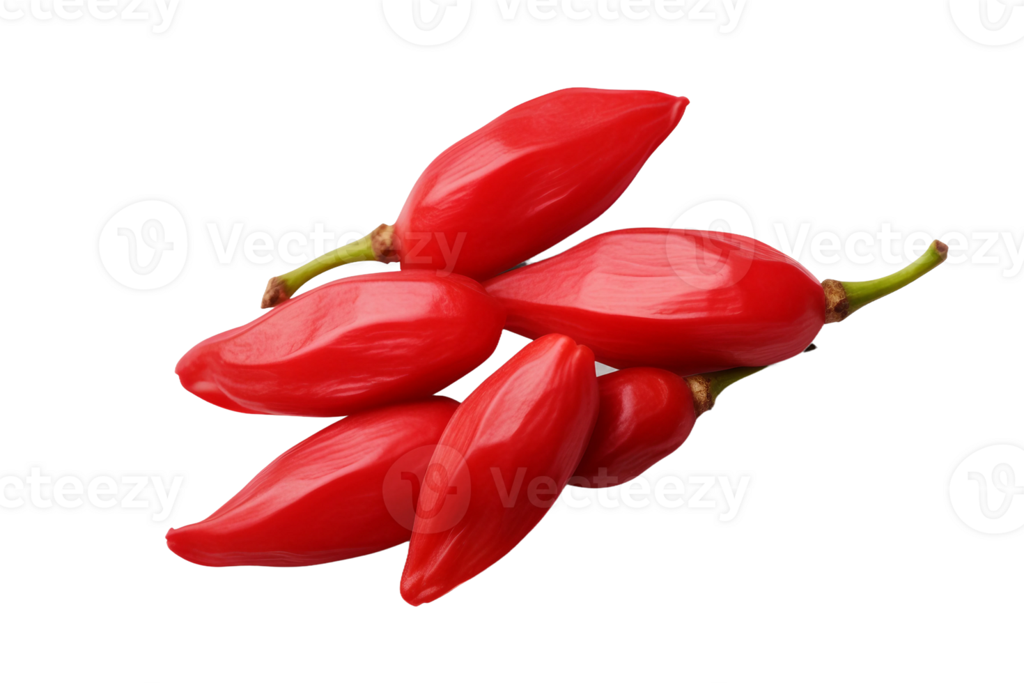 AI generated Vibrant Goji Berry Illustration on Transparent background png