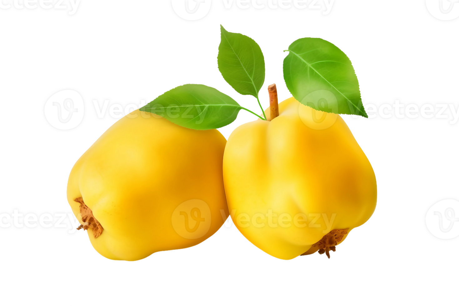 AI generated Realistic Quince Illustration on Transparent background png