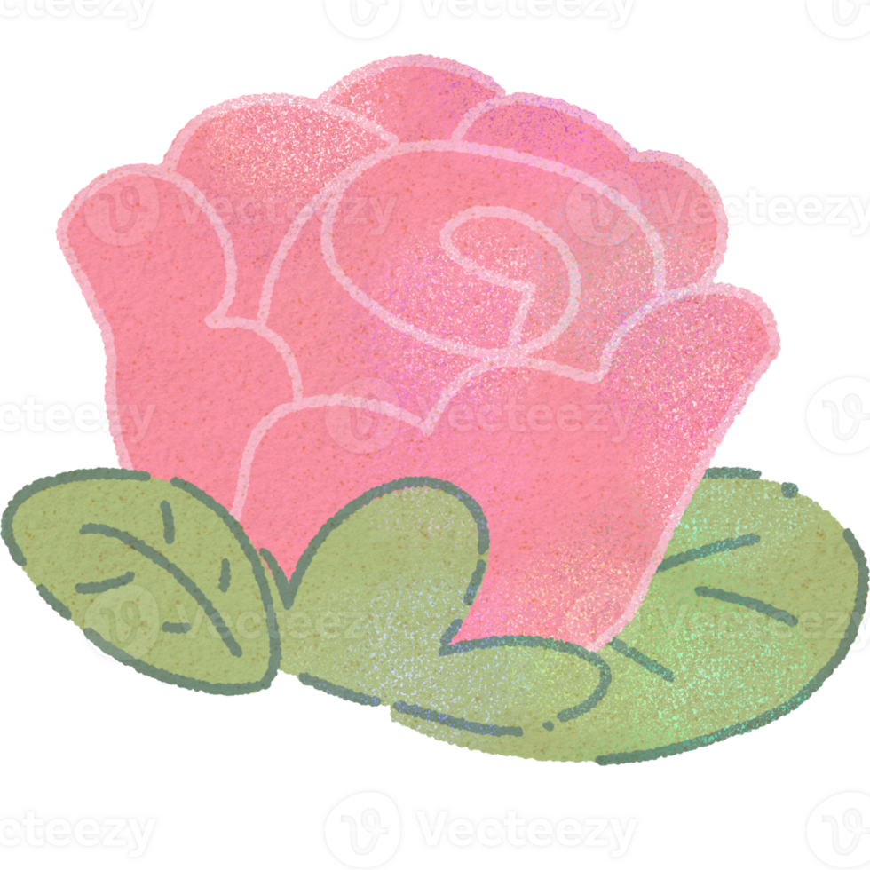 Valentine Cute Rose Flower For Valentine's Day png