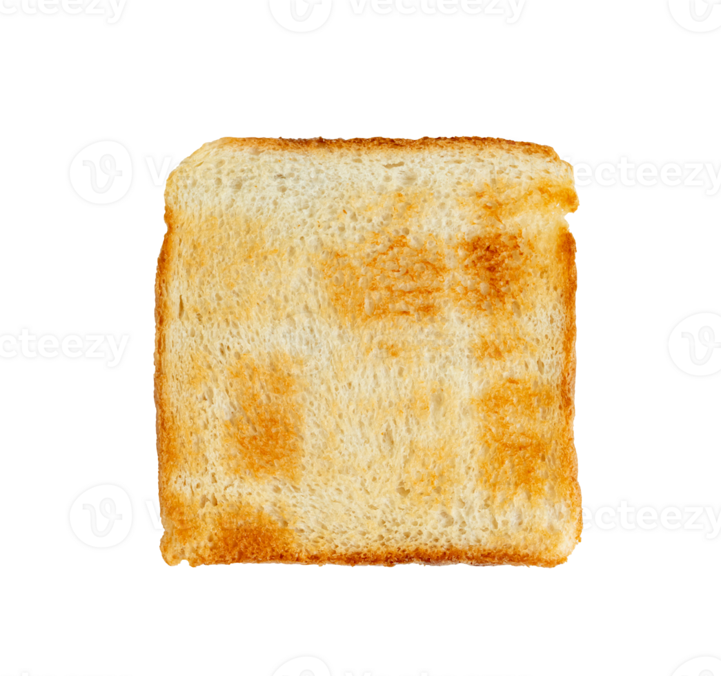Toasted slice bread isolated png