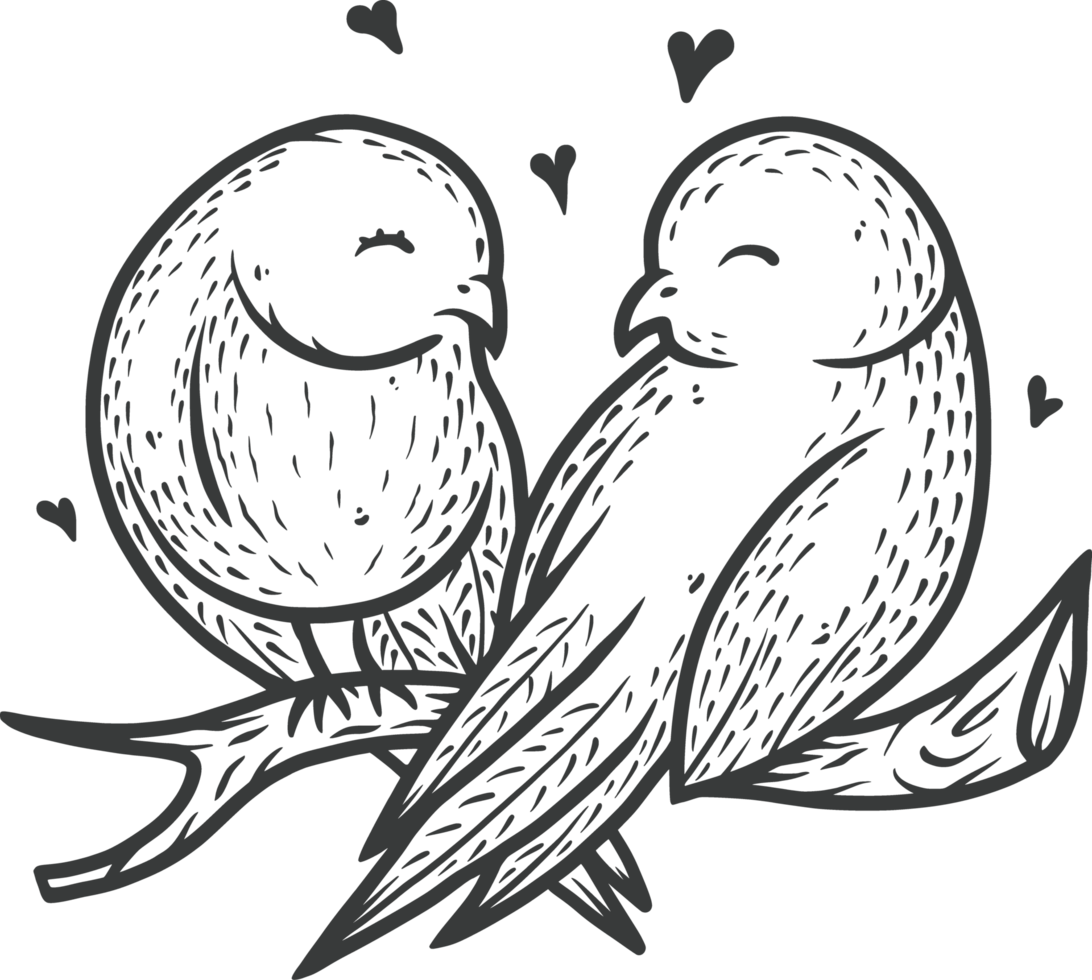 Lovers bird on branch for the Valentines Day love cards. Outline vector illustration png