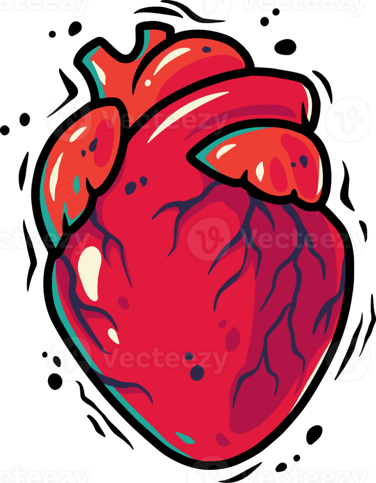 Human heart for Saint Valentines Day holiday. Spring vector illustration for february love party design png