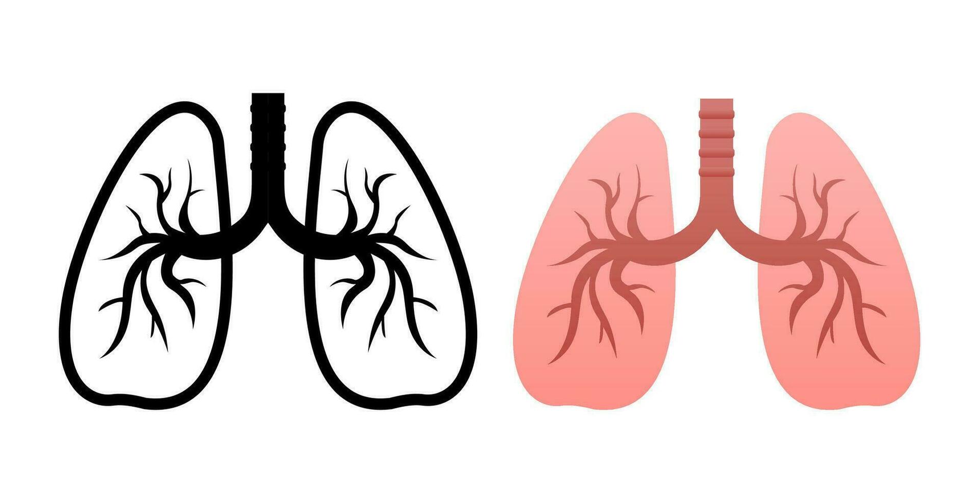 Lungs flat style. Vector illustration icon. Isolated vector illustration.Medical icon.