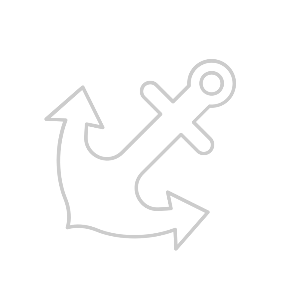 Anchor vector