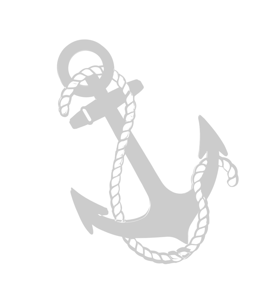 Anchor vector