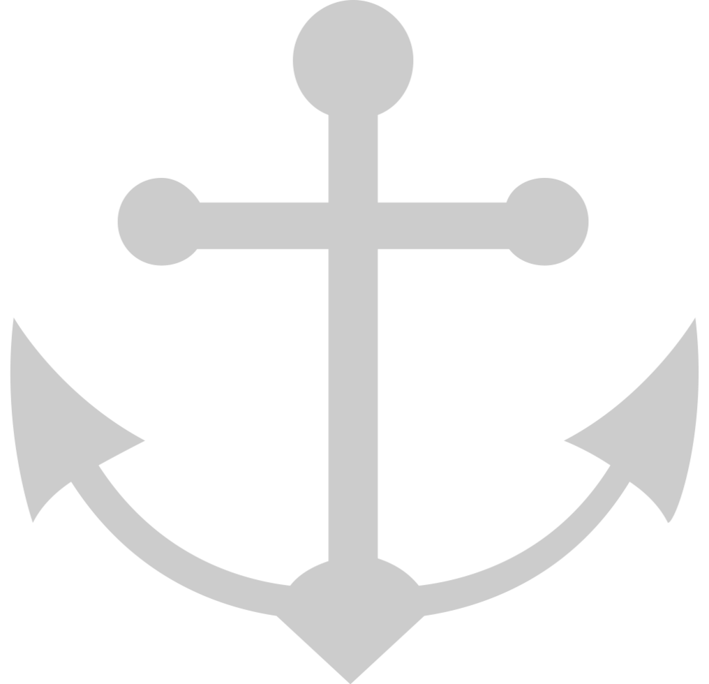Anchor vector